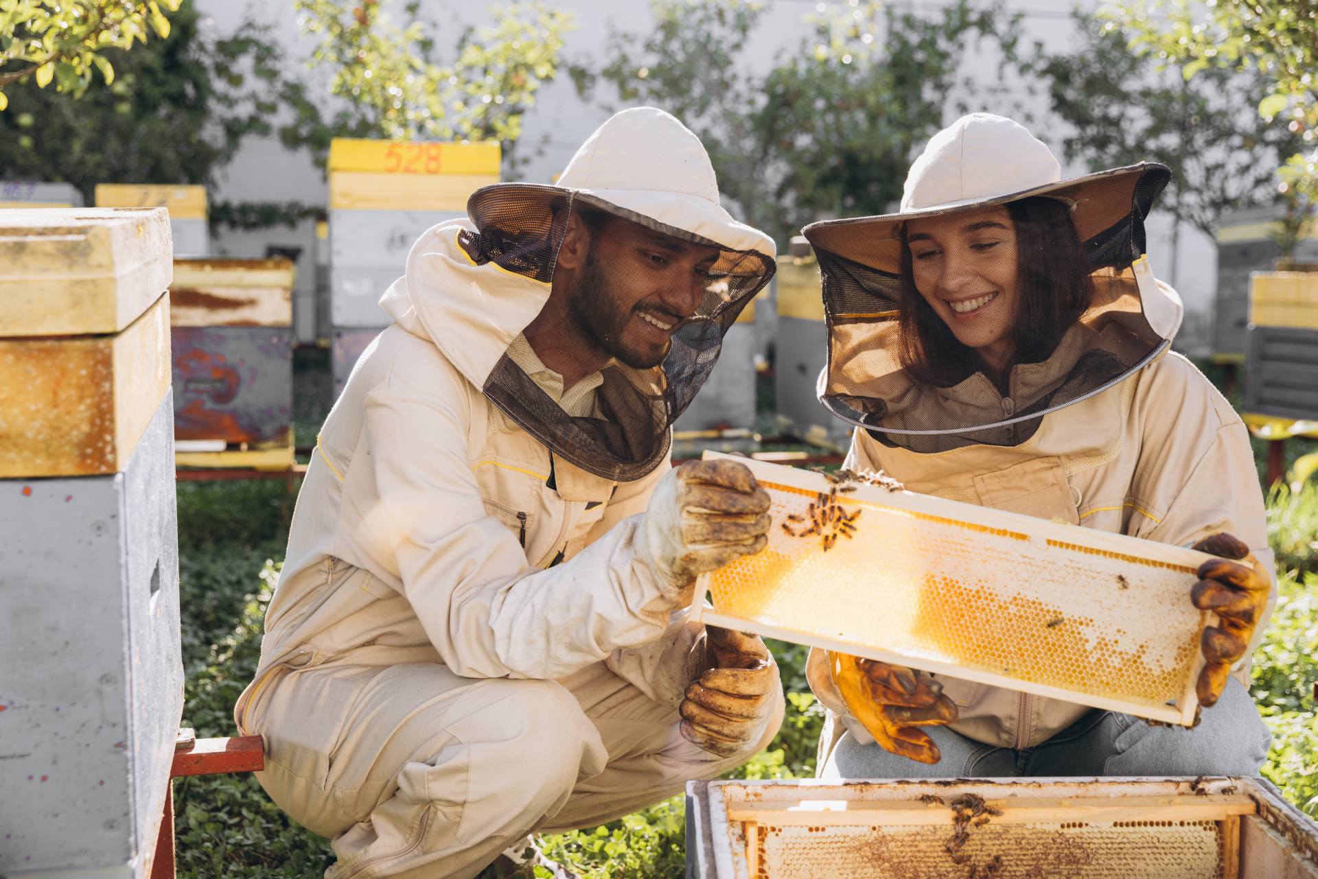 Édification de ruches, refuges pour insectes ou abris pour oiseaux